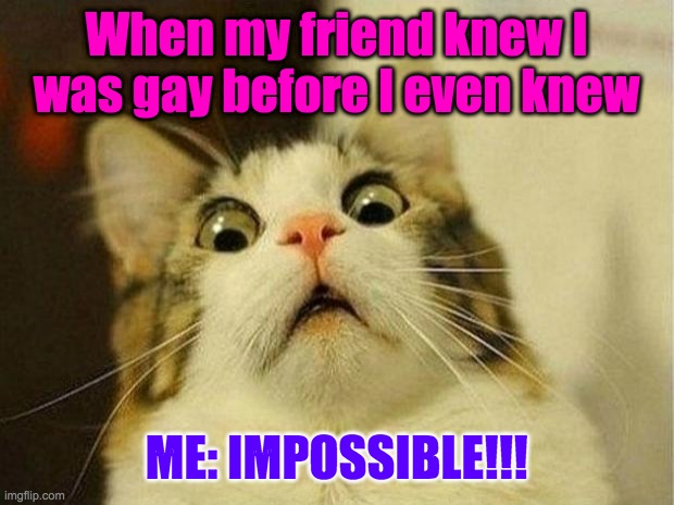 True facts | When my friend knew I was gay before I even knew; ME: IMPOSSIBLE!!! | image tagged in memes,scared cat | made w/ Imgflip meme maker