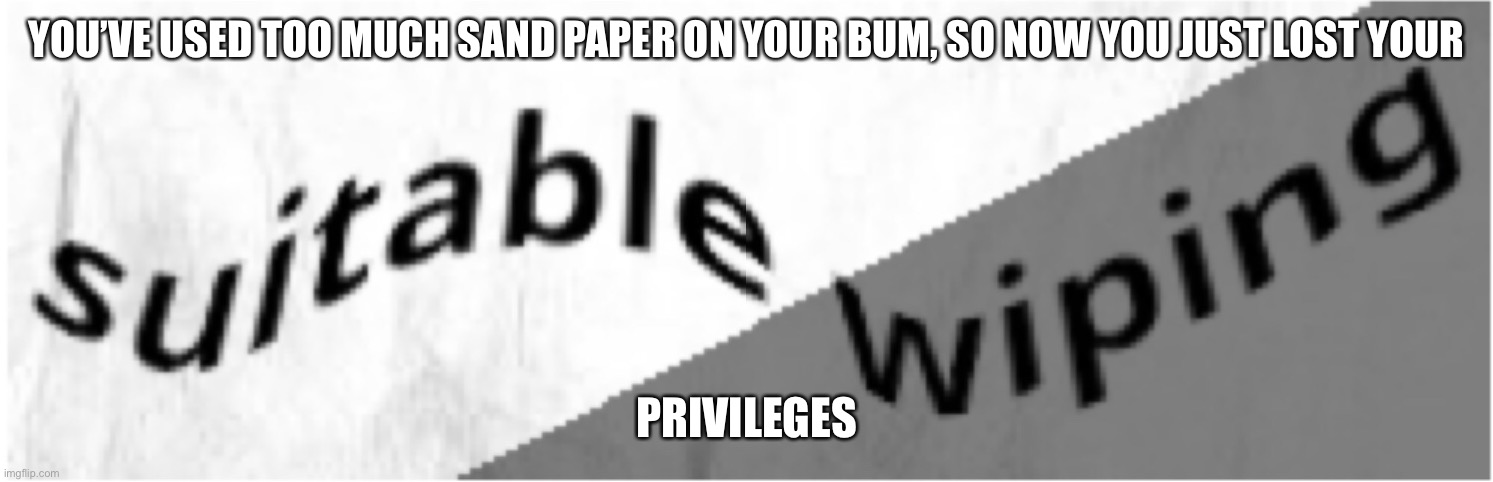 Ha ha sand paper on ya bum go brrrrrr | YOU’VE USED TOO MUCH SAND PAPER ON YOUR BUM, SO NOW YOU JUST LOST YOUR; PRIVILEGES | image tagged in ha ha tags go brr | made w/ Imgflip meme maker
