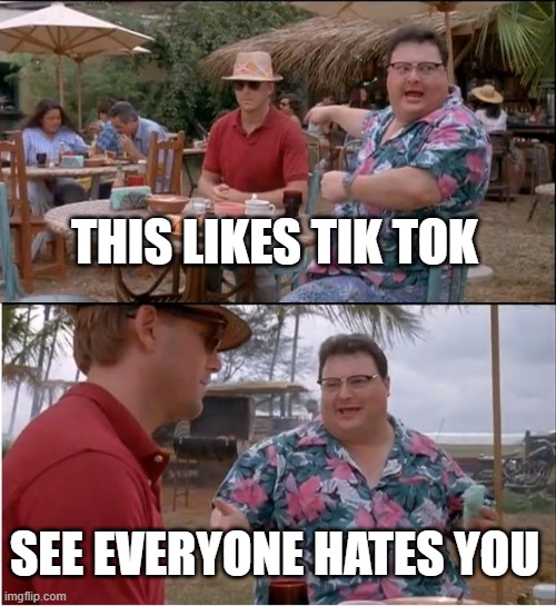 See everyone cares | THIS LIKES TIK TOK; SEE EVERYONE HATES YOU | image tagged in memes,see nobody cares | made w/ Imgflip meme maker