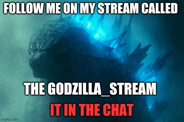 Follow me | FOLLOW ME ON MY STREAM CALLED; THE GODZILLA_STREAM; IT IN THE CHAT | image tagged in the king disapproves | made w/ Imgflip meme maker
