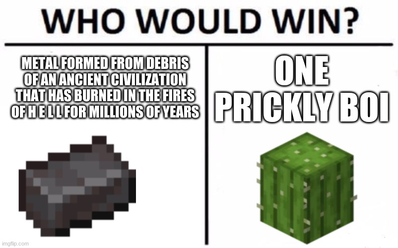 Also if netherite doesn't burn in lava, why doesn't it give the player fire resistance | METAL FORMED FROM DEBRIS OF AN ANCIENT CIVILIZATION THAT HAS BURNED IN THE FIRES OF H E L L FOR MILLIONS OF YEARS; ONE PRICKLY BOI | image tagged in who would win,netherite,cactus,minecraft,memes,gaming | made w/ Imgflip meme maker