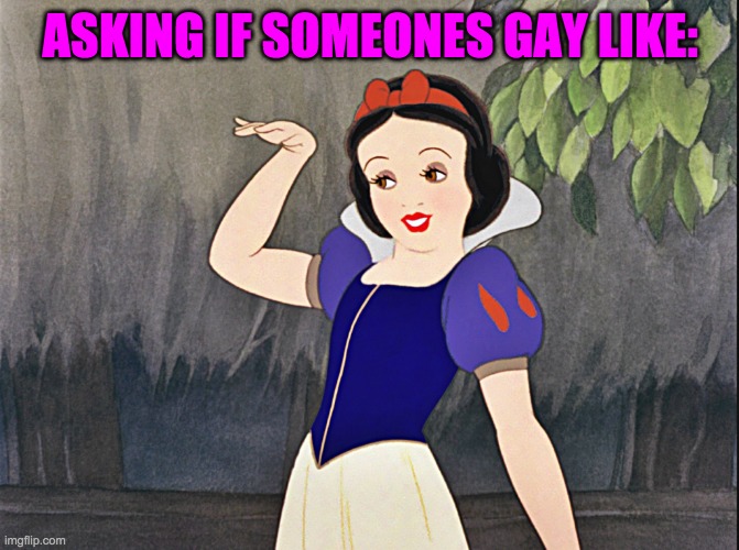 snow white wave | ASKING IF SOMEONES GAY LIKE: | image tagged in snow white wave | made w/ Imgflip meme maker