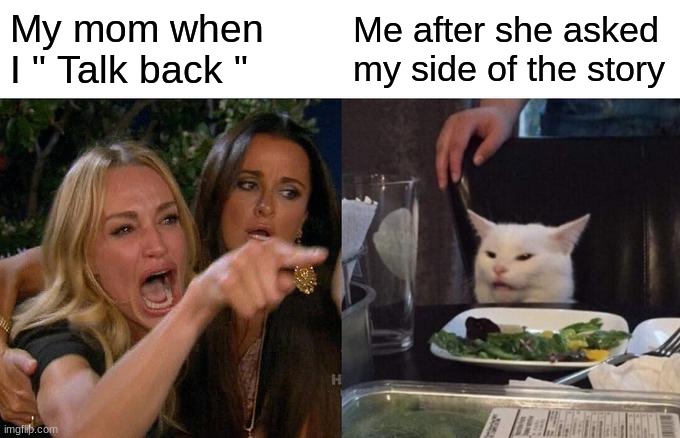 Woman Yelling At Cat | My mom when I " Talk back "; Me after she asked my side of the story | image tagged in memes,woman yelling at cat | made w/ Imgflip meme maker