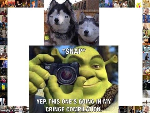 image tagged in cringe,shrek,dog,stop it patrick you're scaring him correct text boxes | made w/ Imgflip meme maker