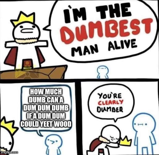 dum dum | HOW MUCH DUMB CAN A DUM DUM DUMB IF A DUM DUM COULD YEET WOOD | image tagged in dumbest man alive blank | made w/ Imgflip meme maker
