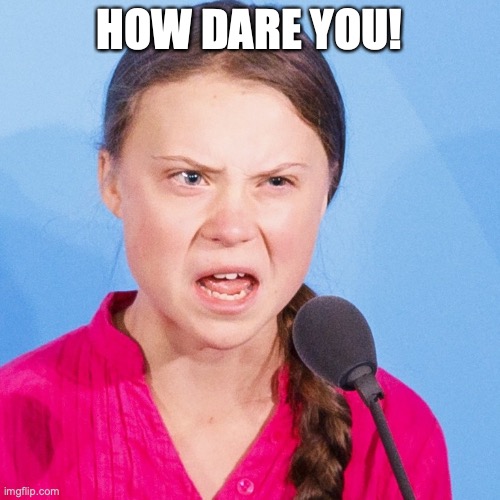 How Dare You | HOW DARE YOU! | image tagged in how dare you | made w/ Imgflip meme maker