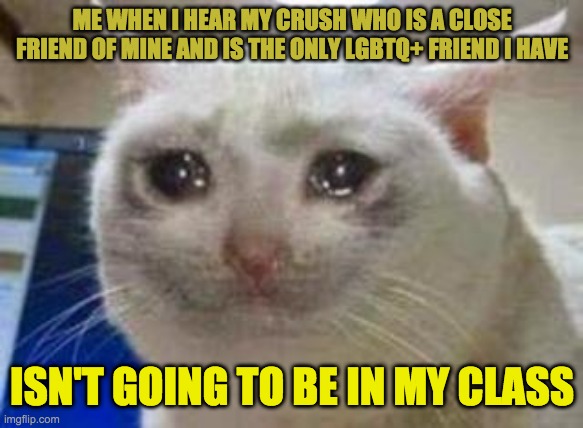 I is lonely now | ME WHEN I HEAR MY CRUSH WHO IS A CLOSE FRIEND OF MINE AND IS THE ONLY LGBTQ+ FRIEND I HAVE; ISN'T GOING TO BE IN MY CLASS | image tagged in sad cat | made w/ Imgflip meme maker