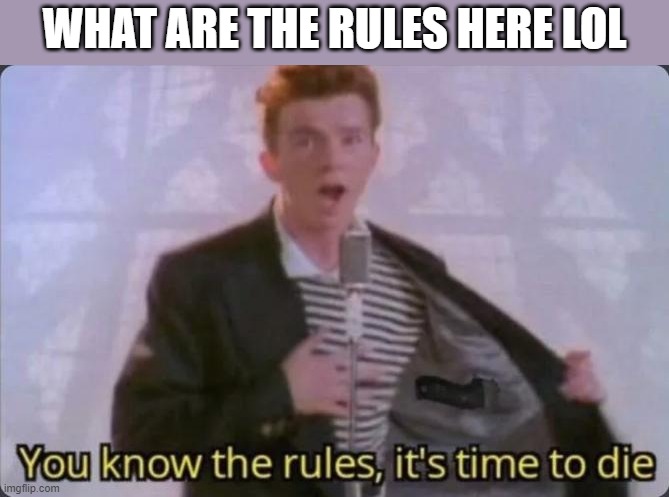 You know the rules, it's time to die | WHAT ARE THE RULES HERE LOL | image tagged in you know the rules it's time to die,i'm 15 so don't try it,who reads these | made w/ Imgflip meme maker