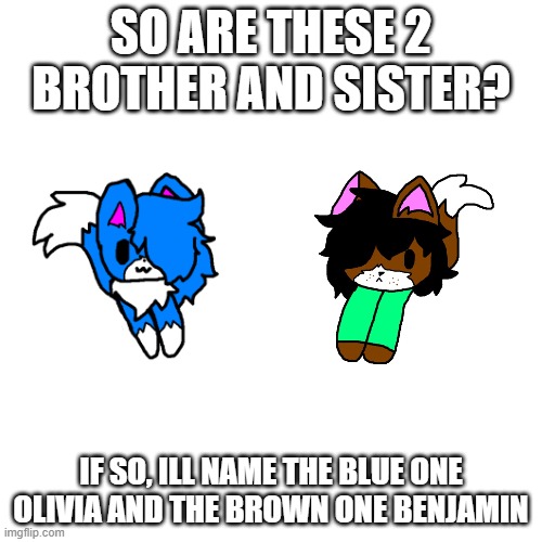 the brother and sister clouds! lol | SO ARE THESE 2 BROTHER AND SISTER? IF SO, ILL NAME THE BLUE ONE OLIVIA AND THE BROWN ONE BENJAMIN | image tagged in memes,blank transparent square | made w/ Imgflip meme maker