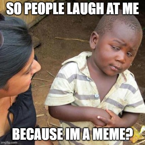 Third World Skeptical Kid | SO PEOPLE LAUGH AT ME; BECAUSE IM A MEME? | image tagged in memes,third world skeptical kid | made w/ Imgflip meme maker