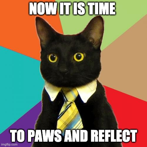 Business Cat Meme | NOW IT IS TIME; TO PAWS AND REFLECT | image tagged in memes,business cat | made w/ Imgflip meme maker