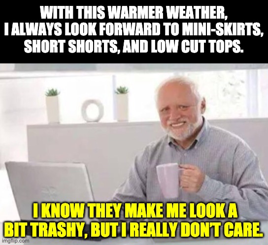 Warmer weather | WITH THIS WARMER WEATHER, I ALWAYS LOOK FORWARD TO MINI-SKIRTS, SHORT SHORTS, AND LOW CUT TOPS. I KNOW THEY MAKE ME LOOK A BIT TRASHY, BUT I REALLY DON’T CARE. | image tagged in harold | made w/ Imgflip meme maker