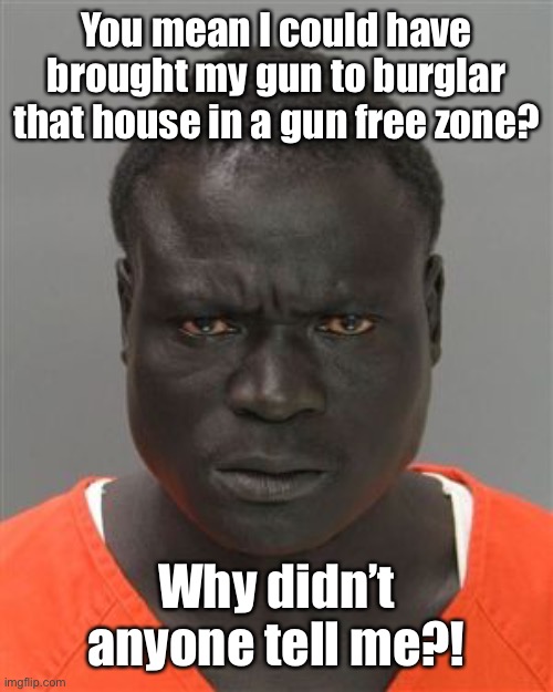 Misunderstood Prison Inmate | You mean I could have brought my gun to burglar that house in a gun free zone? Why didn’t anyone tell me?! | image tagged in misunderstood prison inmate | made w/ Imgflip meme maker