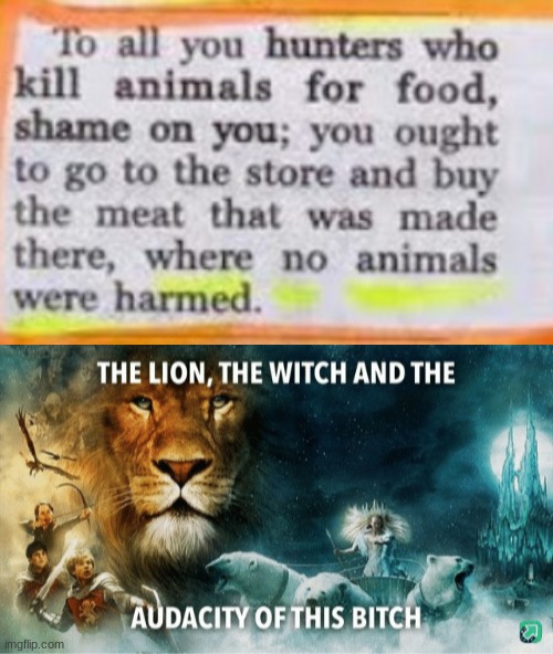 My God | image tagged in the lion the witch and the audacity of this bitch | made w/ Imgflip meme maker