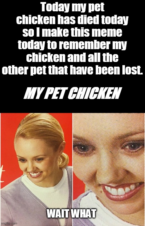 WAIT WHAT? | Today my pet chicken has died today so I make this meme today to remember my chicken and all the other pet that have been lost. MY PET CHICK | image tagged in wait what | made w/ Imgflip meme maker
