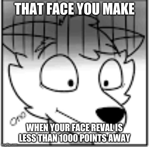 oh boy where almost there! | THAT FACE YOU MAKE; WHEN YOUR FACE REVAL IS LESS THAN 1000 POINTS AWAY | image tagged in furry oh no | made w/ Imgflip meme maker