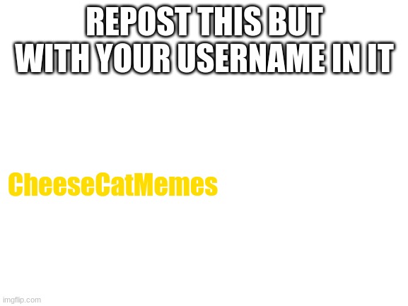 repost but add your username | REPOST THIS BUT WITH YOUR USERNAME IN IT; CheeseCatMemes | image tagged in repost,username | made w/ Imgflip meme maker
