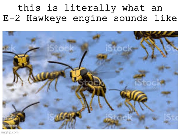this is literally what an E-2 Hawkeye engine sounds like | image tagged in bees,wasp,hornet,memes | made w/ Imgflip meme maker