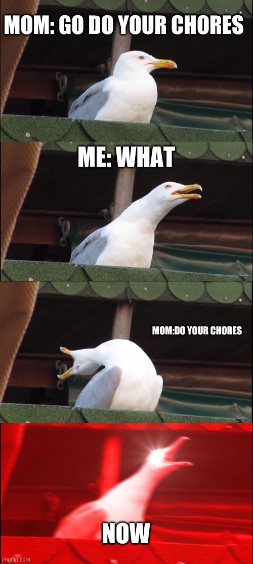 chores | MOM: GO DO YOUR CHORES; ME: WHAT; MOM:DO YOUR CHORES; NOW | image tagged in memes,inhaling seagull | made w/ Imgflip meme maker
