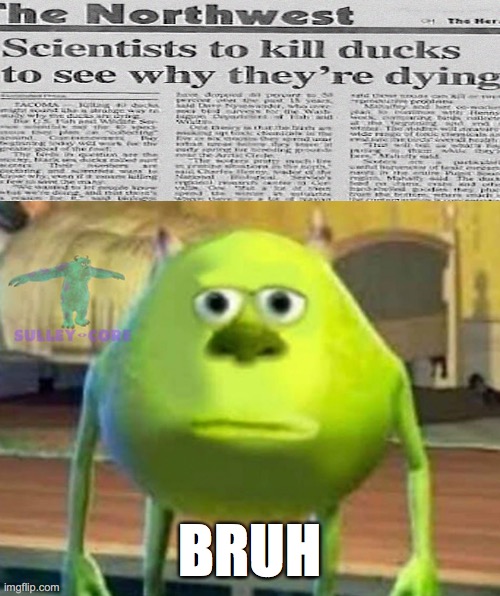 can we really trust scientists | BRUH | image tagged in monsters inc,funny,dumb people,news | made w/ Imgflip meme maker