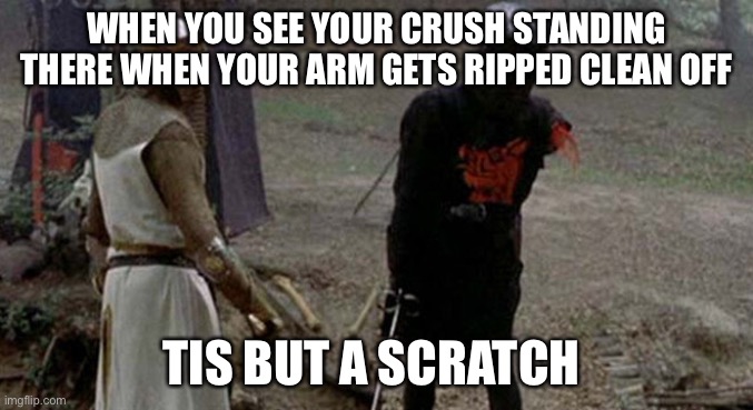Tis but a scratch | WHEN YOU SEE YOUR CRUSH STANDING THERE WHEN YOUR ARM GETS RIPPED CLEAN OFF; TIS BUT A SCRATCH | image tagged in tis but a scratch | made w/ Imgflip meme maker