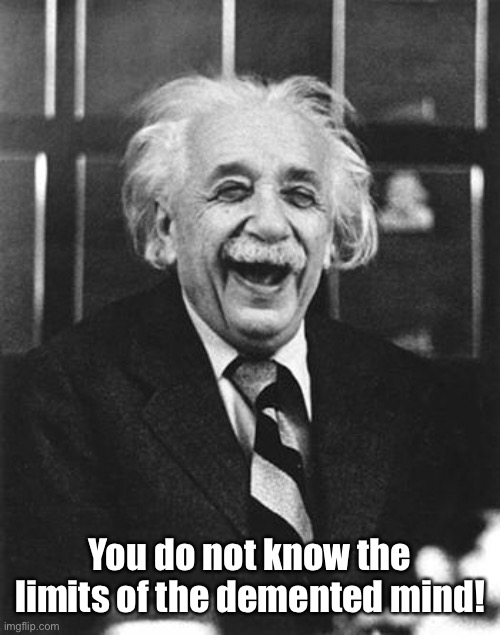 Einstein laugh | You do not know the limits of the demented mind! | image tagged in einstein laugh | made w/ Imgflip meme maker