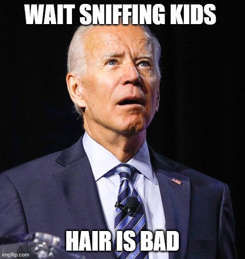 Joe Biden | WAIT SNIFFING KIDS; HAIR IS BAD | image tagged in joe biden | made w/ Imgflip meme maker