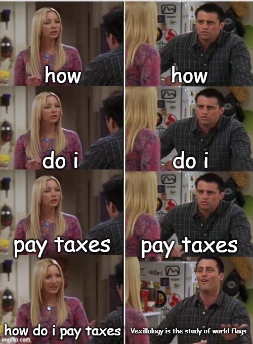School be like: | how; how; do i; do i; pay taxes; pay taxes; how do i pay taxes; Vexillology is the study of world flags | image tagged in phoebe joey | made w/ Imgflip meme maker
