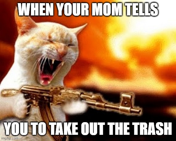 machine gun cat | WHEN YOUR MOM TELLS; YOU TO TAKE OUT THE TRASH | image tagged in machine gun cat | made w/ Imgflip meme maker