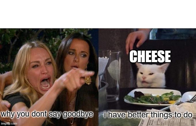 not Saying goodbye | CHEESE; why you dont say goodbye; i have better things to do | image tagged in memes,woman yelling at cat | made w/ Imgflip meme maker