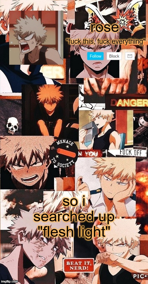 thats all that needs to be said | so i searched up "flesh light" | image tagged in roses bakugo template | made w/ Imgflip meme maker