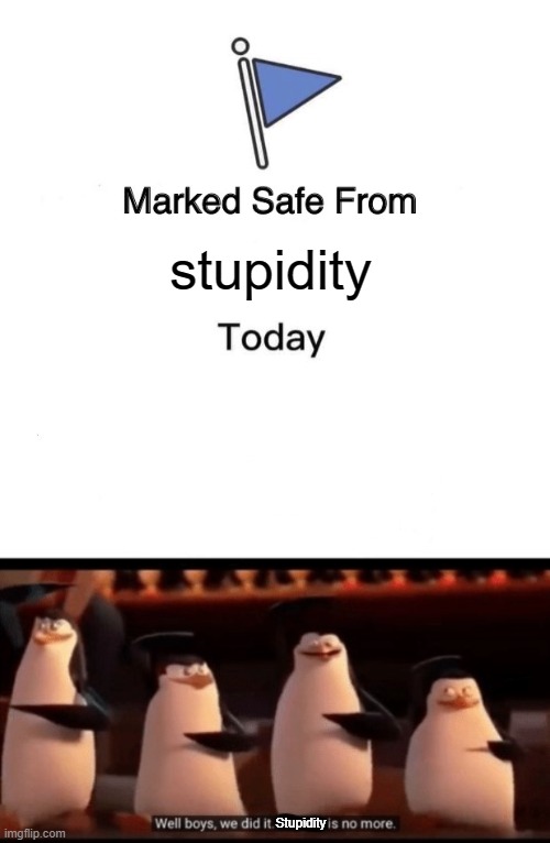 Stupidity stops here | stupidity; Stupidity | image tagged in memes,marked safe from,well boys we did it blank is no more,stupid,stupidity,penguins of madagascar | made w/ Imgflip meme maker