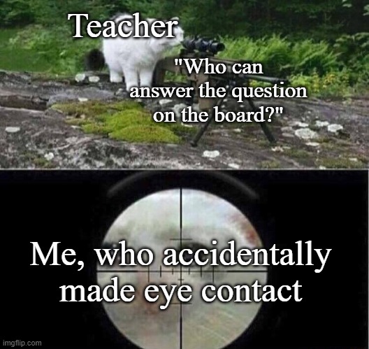 so true lol | Teacher; "Who can answer the question on the board?"; Me, who accidentally made eye contact | image tagged in sniper cat,relatable | made w/ Imgflip meme maker