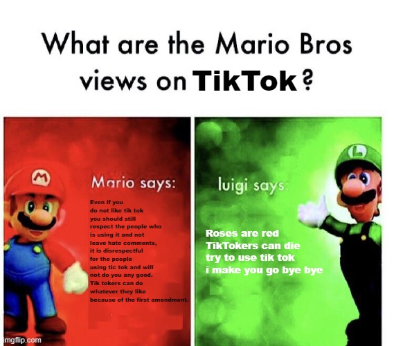I mean tik tokers started it... | TikTok; Even if you do not like tik tok you should still respect the people who is using it and not leave hate comments, it is disrespectful for the people using tic tok and will not do you any good. Tik tokers can do whatever they like because of the first amendment. Roses are red
TikTokers can die
try to use tik tok
i make you go bye bye | image tagged in mario v luigi | made w/ Imgflip meme maker