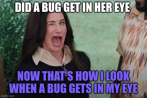 bug in her eye | DID A BUG GET IN HER EYE; NOW THAT'S HOW I LOOK WHEN A BUG GETS IN MY EYE | image tagged in wandavision agnes wink | made w/ Imgflip meme maker