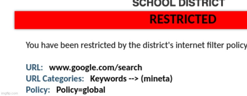 My school blocked me from searching "Mineta" tf- | made w/ Imgflip meme maker