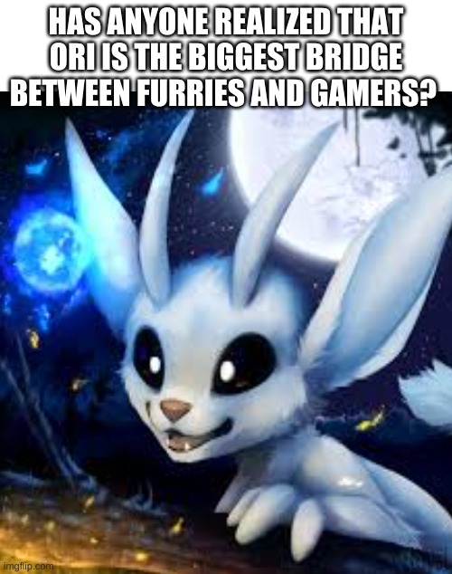 (not my art) | HAS ANYONE REALIZED THAT ORI IS THE BIGGEST BRIDGE BETWEEN FURRIES AND GAMERS? | made w/ Imgflip meme maker