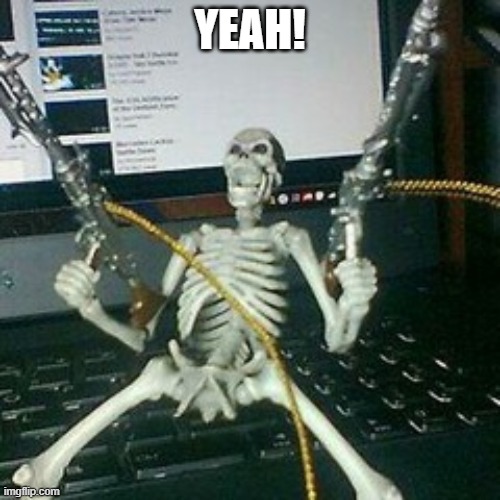 skeleton with guns | YEAH! | image tagged in skeleton with guns,whooooooooooooooooooooo | made w/ Imgflip meme maker