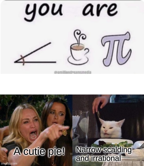 A cutie pie! Narrow scalding and irrational | image tagged in memes,woman yelling at cat,funny,cats | made w/ Imgflip meme maker
