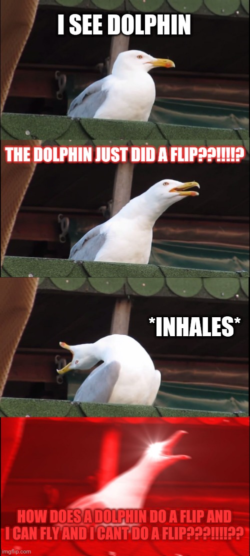 The seagull raged | I SEE DOLPHIN; THE DOLPHIN JUST DID A FLIP??!!!!? *INHALES*; HOW DOES A DOLPHIN DO A FLIP AND I CAN FLY AND I CANT DO A FLIP???!!!!?? | image tagged in memes,inhaling seagull | made w/ Imgflip meme maker