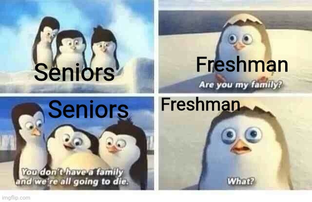 High school is a cesspool |  Freshman; Seniors; Freshman; Seniors | image tagged in high school,pain | made w/ Imgflip meme maker