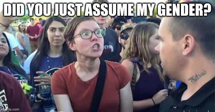 Did you just assume my gender | DID YOU JUST ASSUME MY GENDER? | image tagged in did you just assume my gender | made w/ Imgflip meme maker