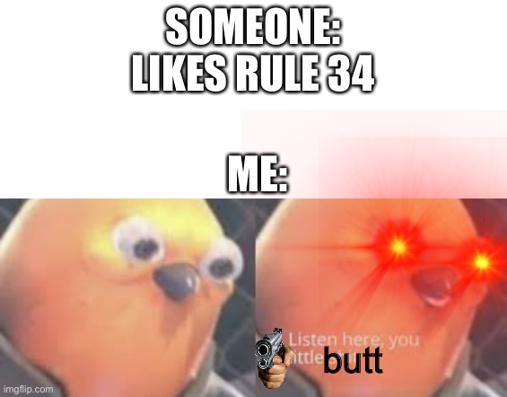 End rule 34 | SOMEONE: LIKES RULE 34; ME:; butt | image tagged in listen here you little shit bird,rule 34,end rule 34 | made w/ Imgflip meme maker