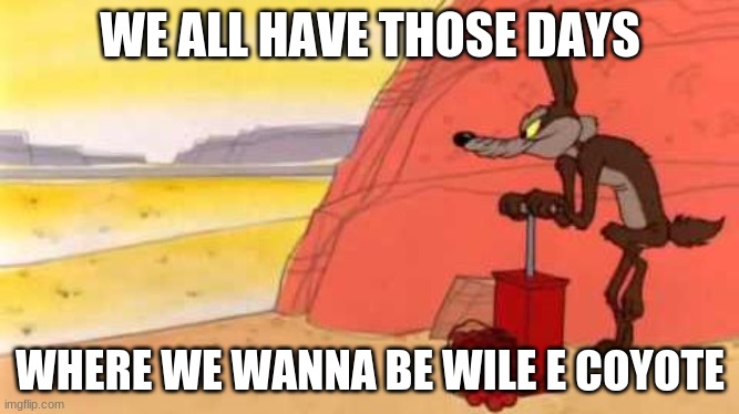 Wile e coyote dynamite |  WE ALL HAVE THOSE DAYS; WHERE WE WANNA BE WILE E COYOTE | image tagged in wile e coyote dynamite | made w/ Imgflip meme maker