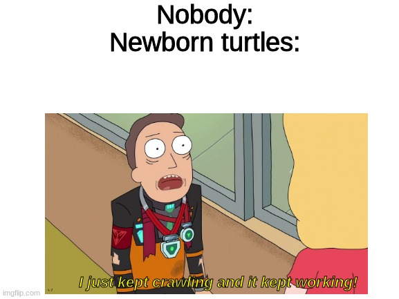 sorry I had to edit the meme I couldn't find the version with subtitles |  Nobody:
Newborn turtles:; I just kept crawling and it kept working! | image tagged in turtle,rick and morty,low quality meme | made w/ Imgflip meme maker