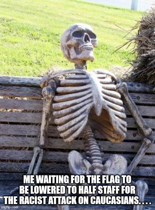 Wrong narritave?? | ME WAITING FOR THE FLAG TO BE LOWERED TO HALF STAFF FOR THE RACIST ATTACK ON CAUCASIANS. . . . | image tagged in memes,waiting skeleton | made w/ Imgflip meme maker