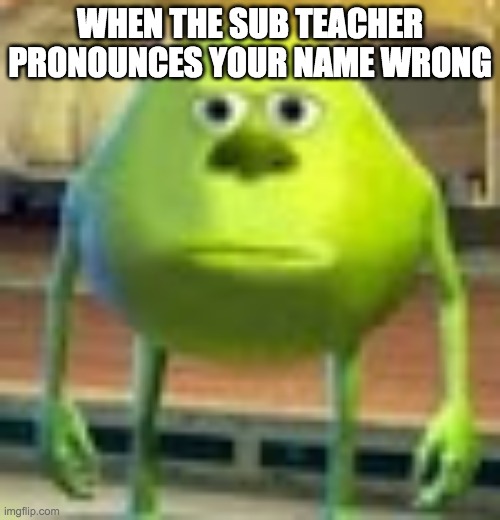 Sully Wazowski | WHEN THE SUB TEACHER PRONOUNCES YOUR NAME WRONG | image tagged in sully wazowski | made w/ Imgflip meme maker