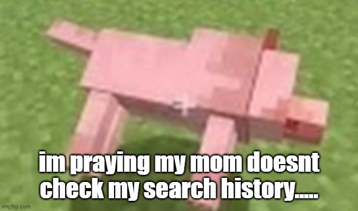 minecraft dog dying | im praying my mom doesnt check my search history..... | image tagged in minecraft dog dying | made w/ Imgflip meme maker