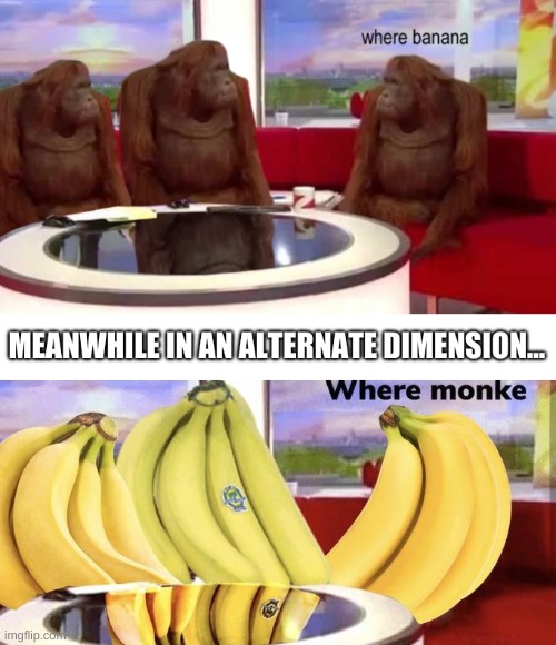 also: https://strawpoll.com/8hwkhg3ks | image tagged in memes,funny,monkey,where banana | made w/ Imgflip meme maker