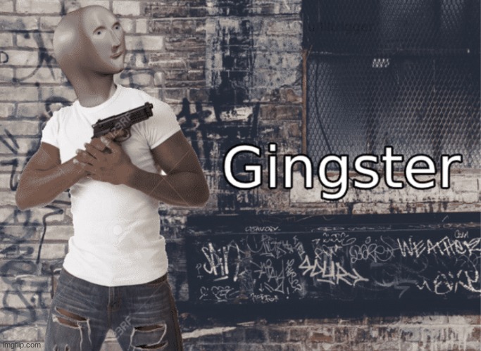 Gingster | image tagged in gingster | made w/ Imgflip meme maker